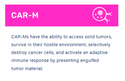 攻克实体瘤再添一员！CAR-M细胞疗法显示实体瘤治疗新希望