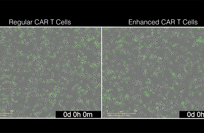【Nature】憋大招！重新编程免疫细胞，助力CAR-T攻克实体瘤！
