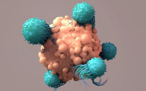 新型免疫检查点：可用来增强T细胞抗癌，还能让CAR-T对抗实体瘤