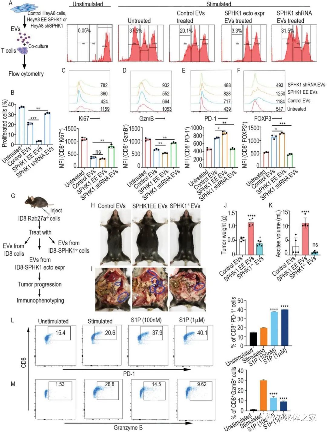 Adv Sci：肿瘤EVs通过鞘氨醇激酶驱动肿瘤微环境中的T细胞耗竭