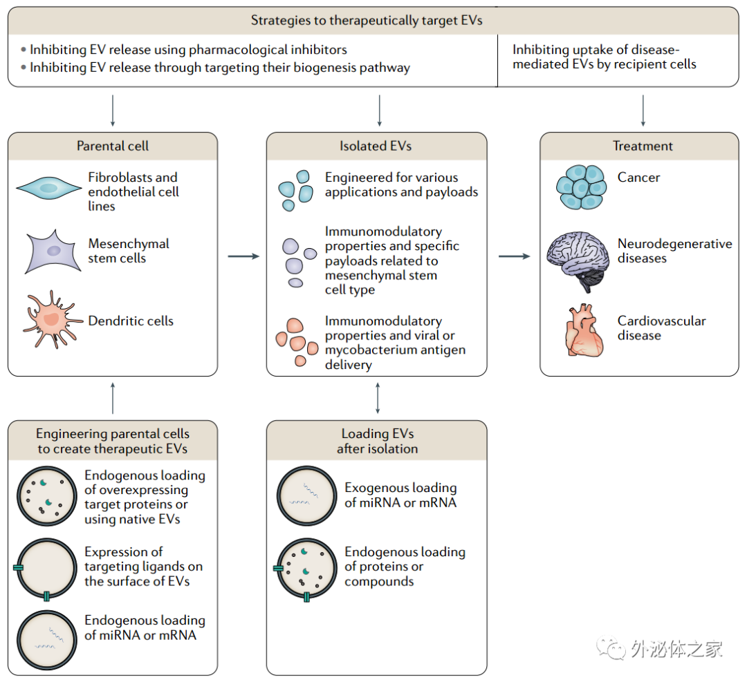 84分Nature子刊综述：利用细胞外囊泡进行疾病的诊断与治疗