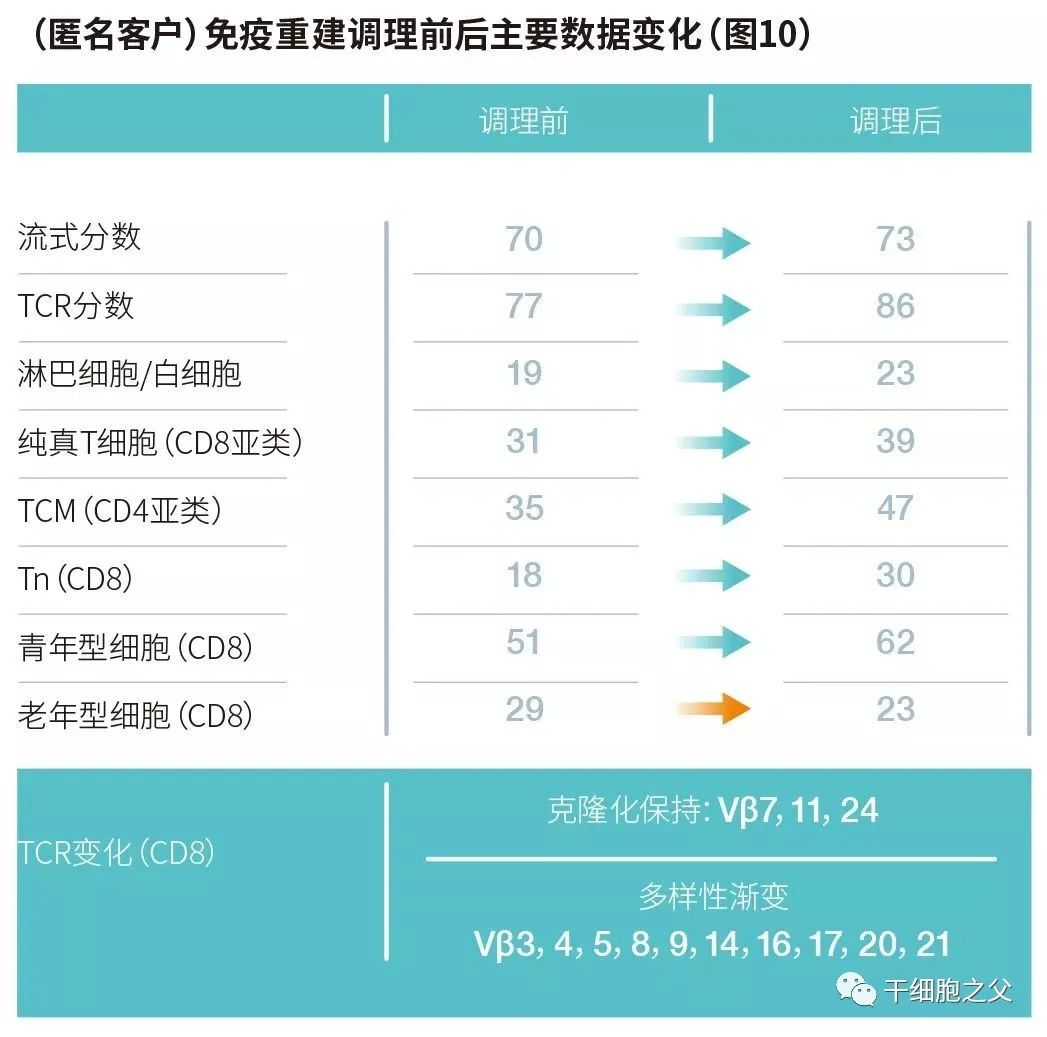 一文读懂丨人类衰老过程之免疫衰老