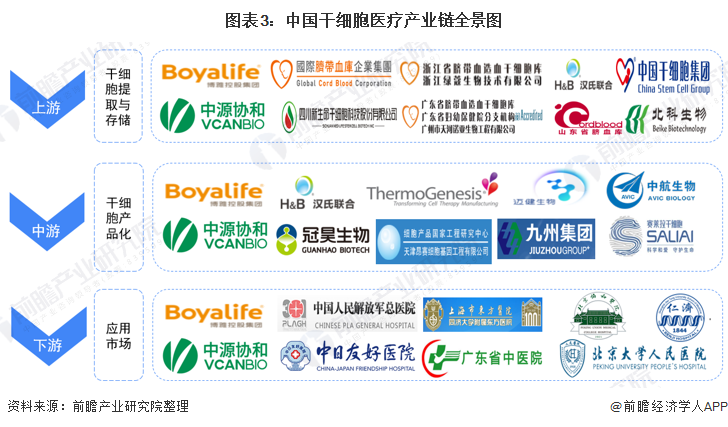 《2022年中国干细胞医疗产业全景图谱》(附市场规模、竞争格局和发展前景等)