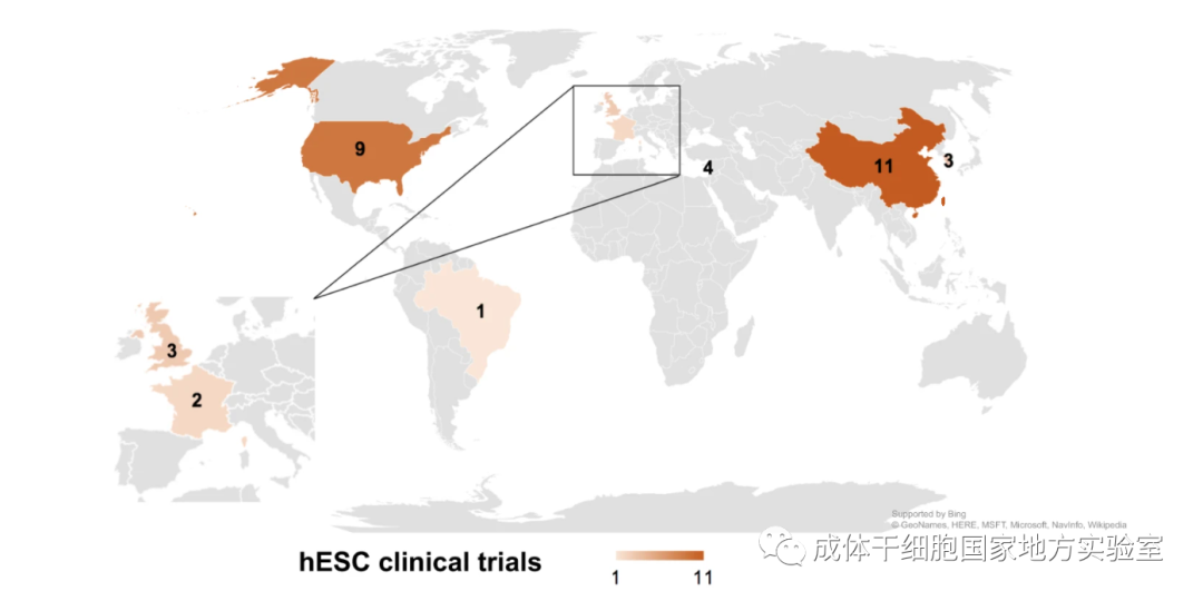 多能干细胞：全球临床试验概况