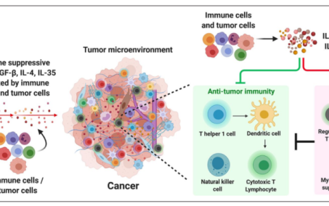 免疫抑制性细胞因子在肿瘤免疫治疗中的作用