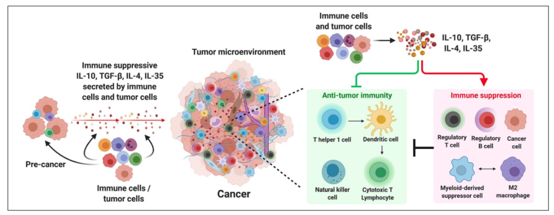 免疫抑制性细胞因子在肿瘤免疫治疗中的作用