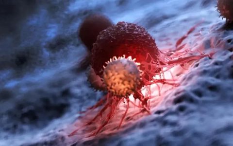 疯狂的想法：武装CAR-T细胞，使其成为生产抗癌药物的“微型药房”