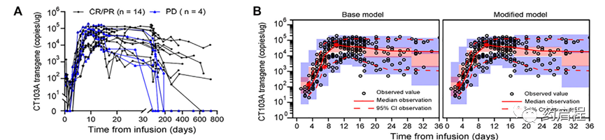 驯鹿发表文献：全人BCMA靶向CAR (CT103A) T细胞免疫疗法长期可持续性的模型解释