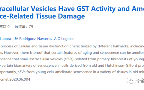 高活力的外泌体让衰老细胞重获新生