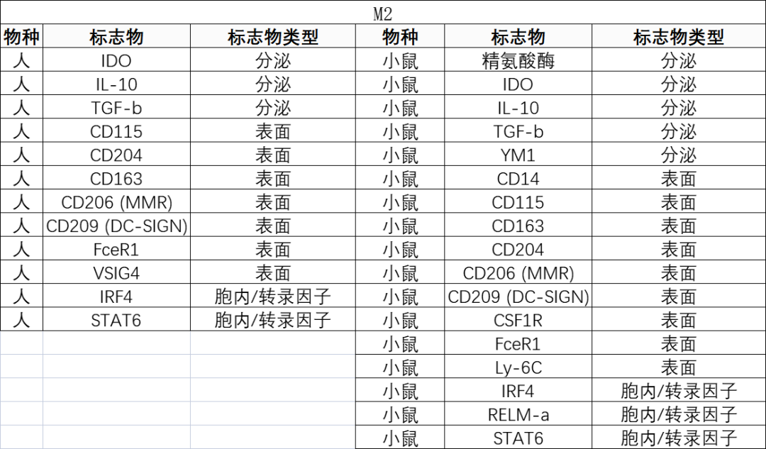 学习|一文解读健康状态下的巨噬细胞