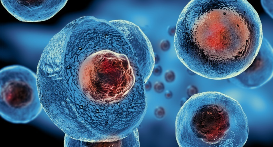 多能干细胞：全球临床试验概况