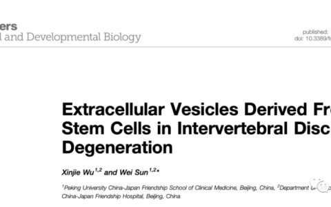 Front Cell Dev Biol | 中日友好医院孙伟团队：干细胞来源细胞外囊泡在椎间盘退变中的研究现状