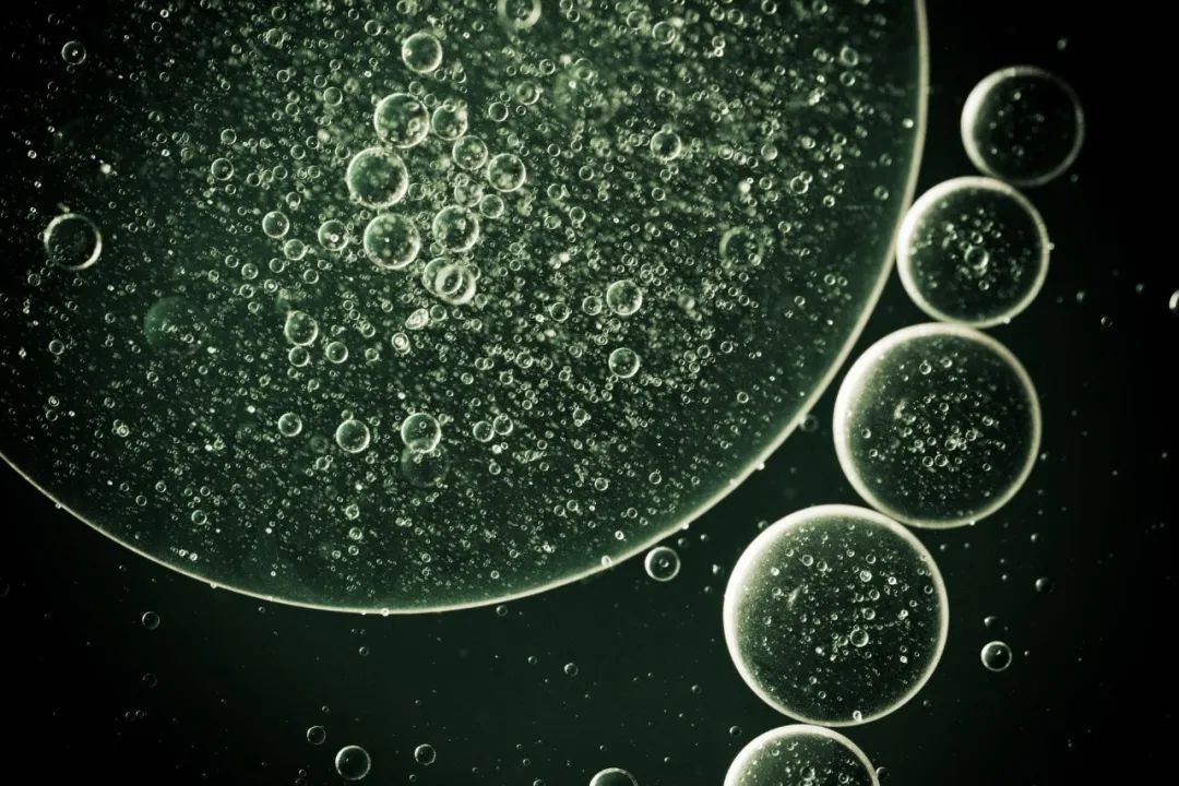 我们为什么要＂补＂干细胞？