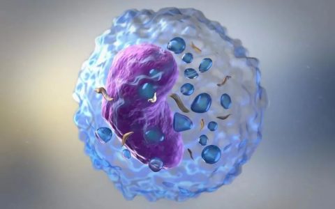 有图有真相，间充质干细胞是如何进行分化的？