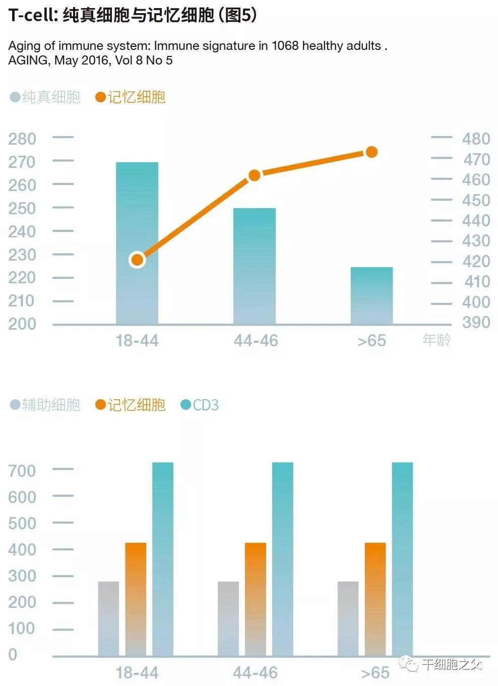 一文读懂丨人类衰老过程之免疫衰老