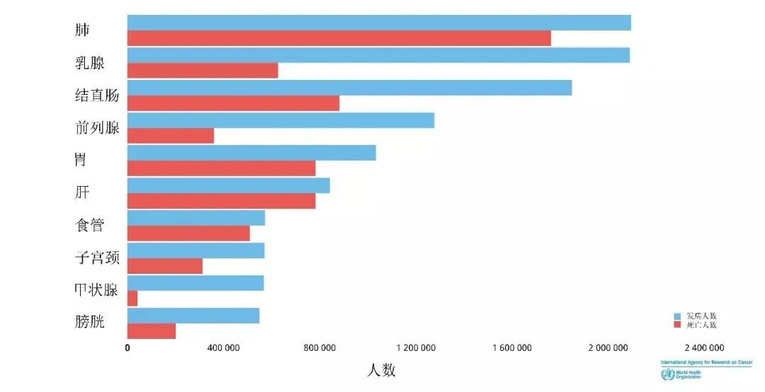 免疫细胞治疗技术——肿瘤患者的希望之光