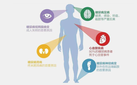 糖尿病与间充质干细胞不得不说的事