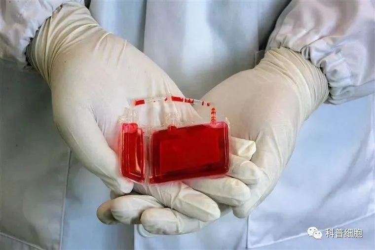 50岁以上还能做干细胞移植吗？这些案例告诉你答案！