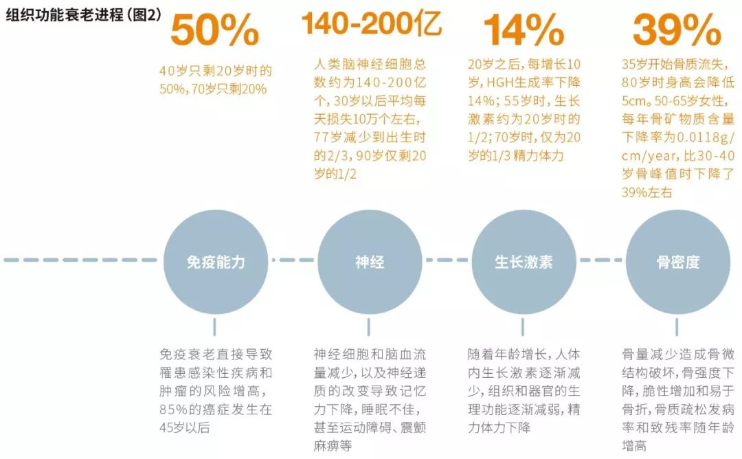 一文读懂丨人类衰老过程之免疫衰老