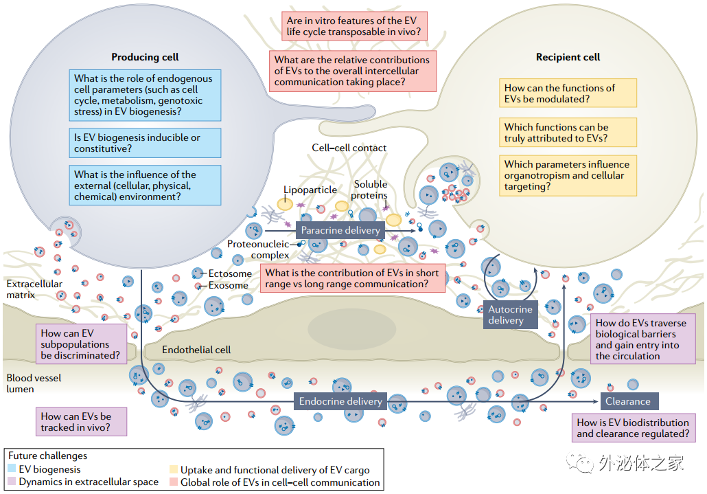 94分Nature子刊综述：研究细胞外囊泡介导细胞间通讯的挑战和方向