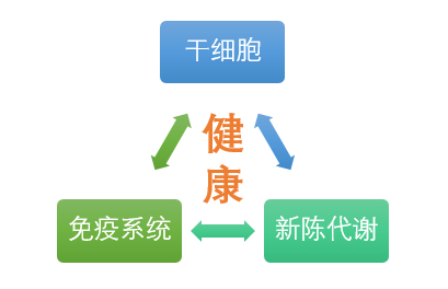 干细胞、免疫系统、新陈代谢，疾病康复的铁三角