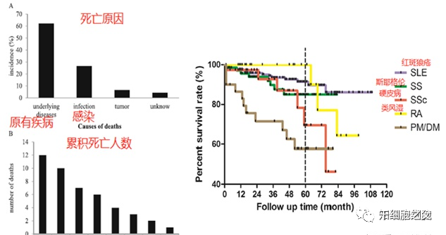 间充质干细胞治疗难治疾病的效果和安全性研究