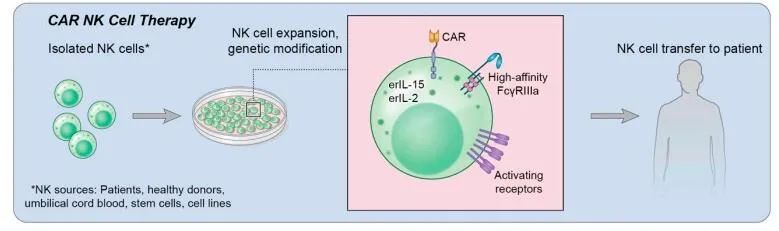 CAR-NK结构的设计与载体