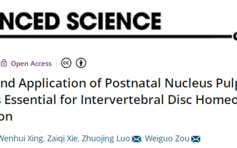 【学术前沿】邹卫国/罗卓荆团队鉴定和应用髓核前体细胞治疗椎间盘退变