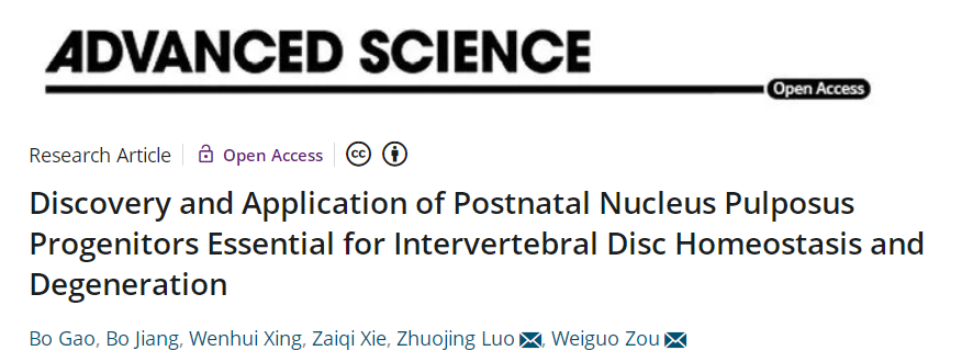 【学术前沿】邹卫国/罗卓荆团队鉴定和应用髓核前体细胞治疗椎间盘退变