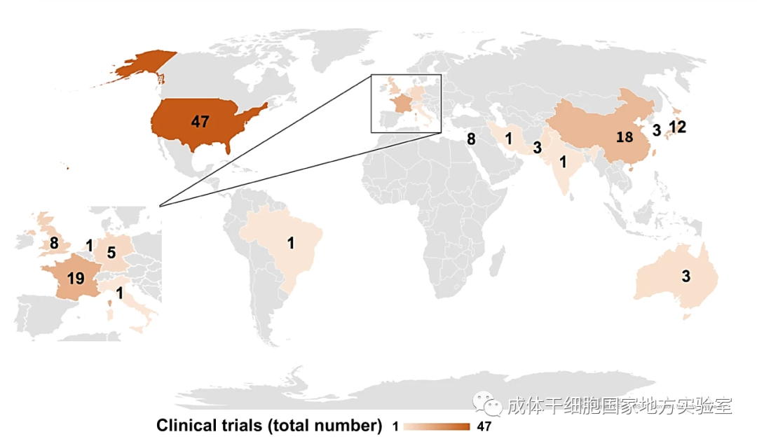 多能干细胞：全球临床试验概况