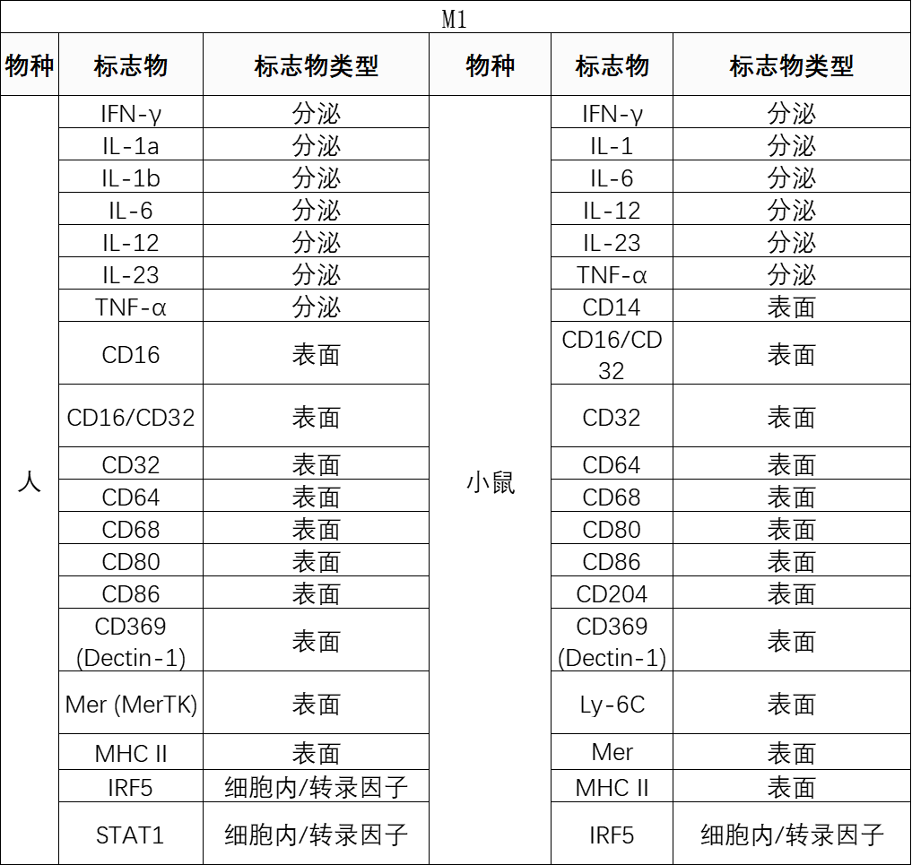 学习|一文解读健康状态下的巨噬细胞