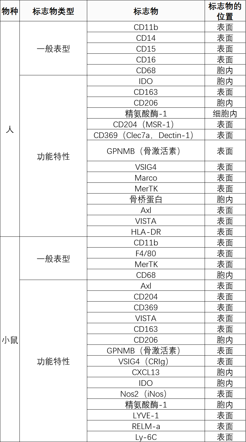 学习|一文解读健康状态下的巨噬细胞