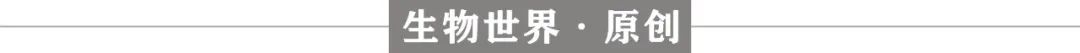 疯狂的想法：武装CAR-T细胞，使其成为生产抗癌药物的“微型药房”