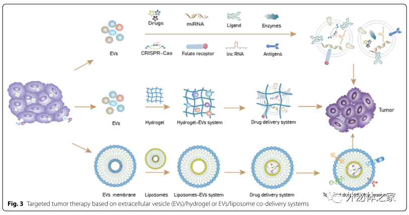 J Biomed Sci | 中国医科大学附属第四医院普外科姜晓峰教授团队: 工程化细胞外囊泡在肿瘤靶向治疗中的应用