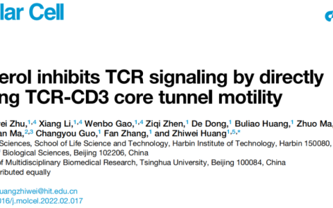 哈工大黄志伟课题组揭示胆固醇抑制T细胞受体活性的分子机制