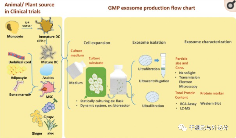 行业报告 | 全球临床试验中的外泌体及其GMP级生产标准