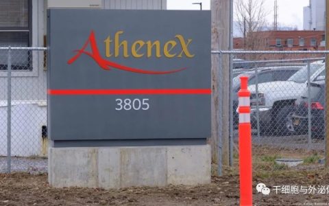 Athenex 裁员，将注意力集中在细胞疗法上