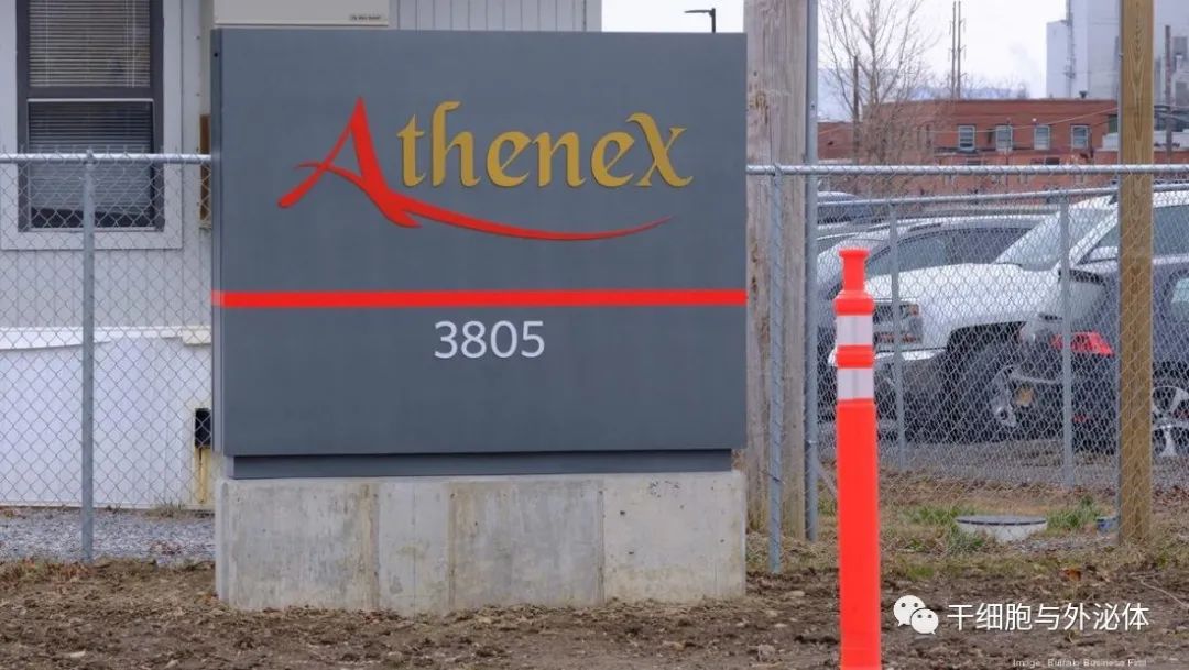 Athenex 裁员，将注意力集中在细胞疗法上