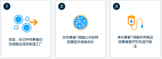 35家免疫细胞治疗企业和技术管线