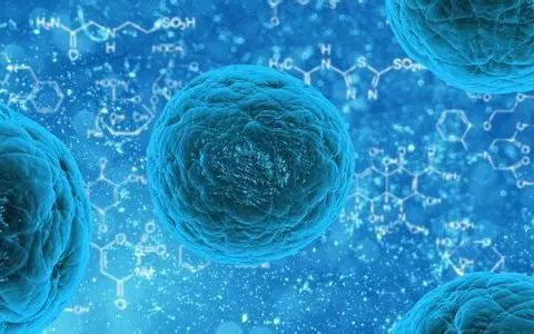 ISU 科学家获得政府200万美元拨款以推进血液干细胞研究