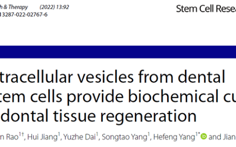 Stem Cell Res Ther | 云南省口腔医学重点实验室杨禾丰团队：牙囊干细胞源小囊泡为牙周组织再生提供生化线索