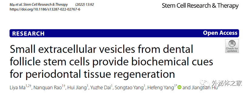 Stem Cell Res Ther | 云南省口腔医学重点实验室杨禾丰团队：牙囊干细胞源小囊泡为牙周组织再生提供生化线索