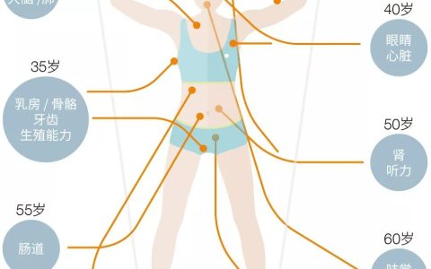 一文读懂丨人类衰老过程之免疫衰老