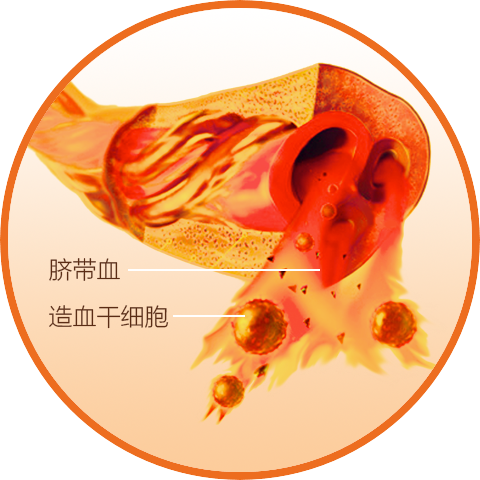 项目征集：山东脐血库“星火计划”启动，助力转化与再生医学研究