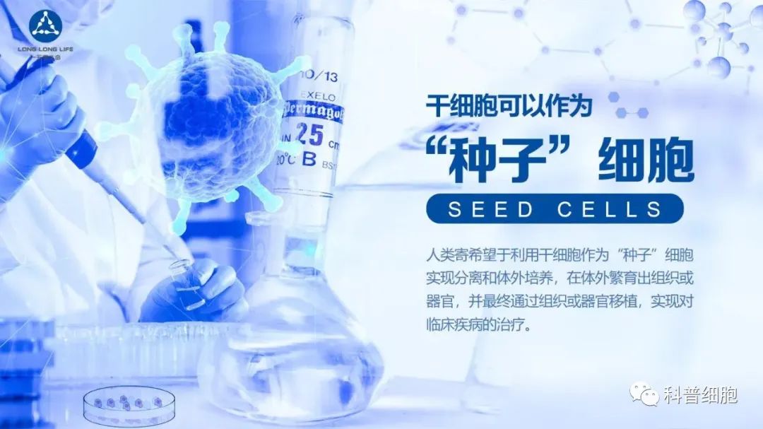 干细胞抗衰老40问，强烈建议收藏！