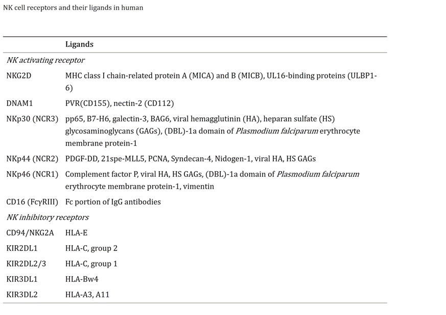 针对癌症的前沿NK细胞疗法汇总