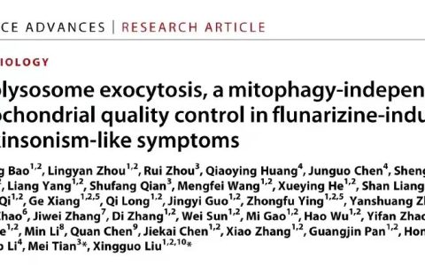 刘兴国/田梅团队发现线粒溶酶体（mitolysosome）胞吐：帕金森症线粒体质量控制新途径