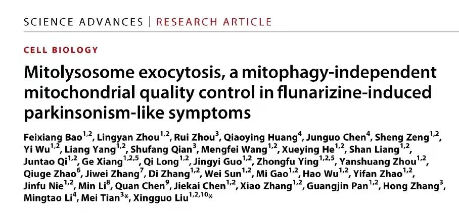 刘兴国/田梅团队发现线粒溶酶体（mitolysosome）胞吐：帕金森症线粒体质量控制新途径