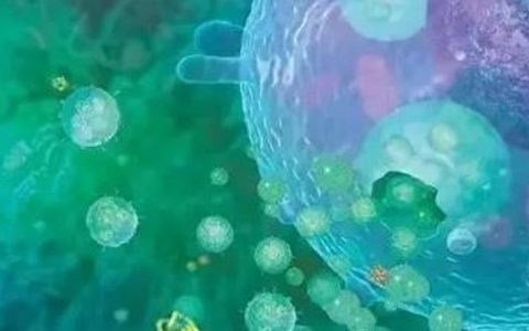 CAR-NK细胞疗法在免疫疗法中迅速发展