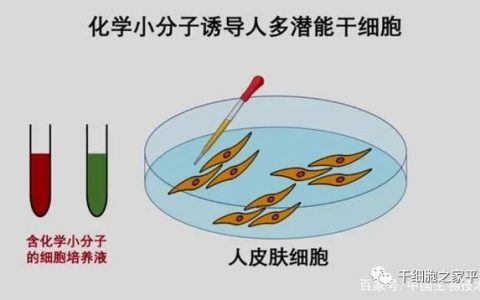 我国干细胞制备技术获得重要突破